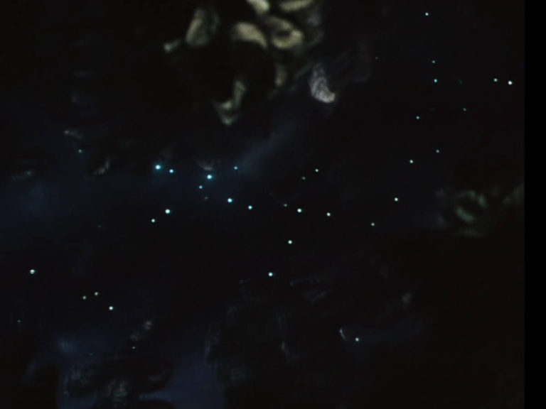 霧の中のハリネズミ - 川に映る星空